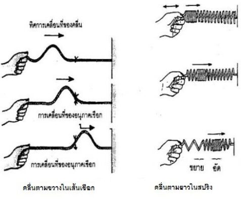 การจำแนกคลื่น