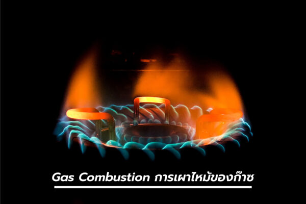 การเผาไหม้ของก๊าซ